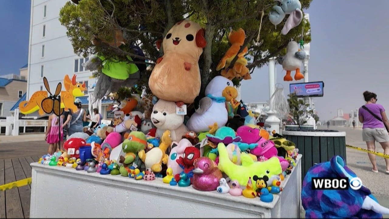 One Week Since a Tram Hit and Killed a Two-Year-Old Child on the Boardwalk